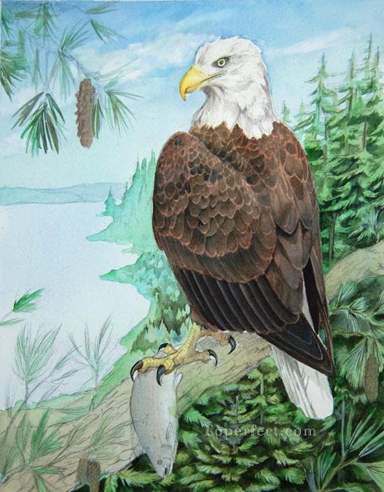 águila calva tesis aves Pintura al óleo